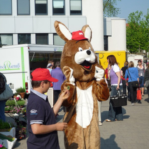 Osterhase "Francesco"